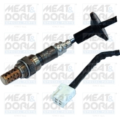 Oxygen Sensor